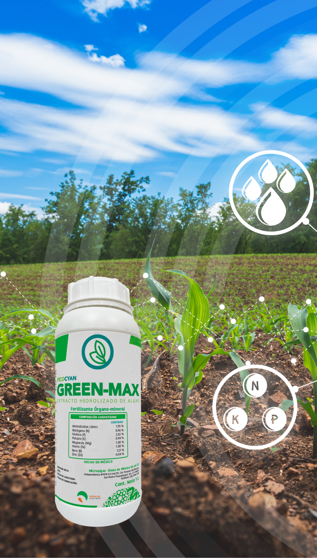 FICOCYAN GREEN MAX