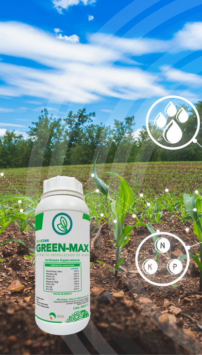 FICOCYAN GREEN MAX