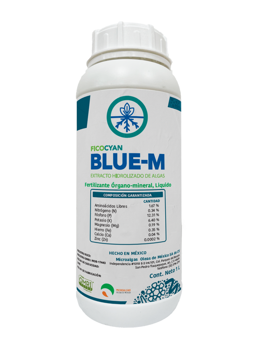 FICOCYAN BLUEM